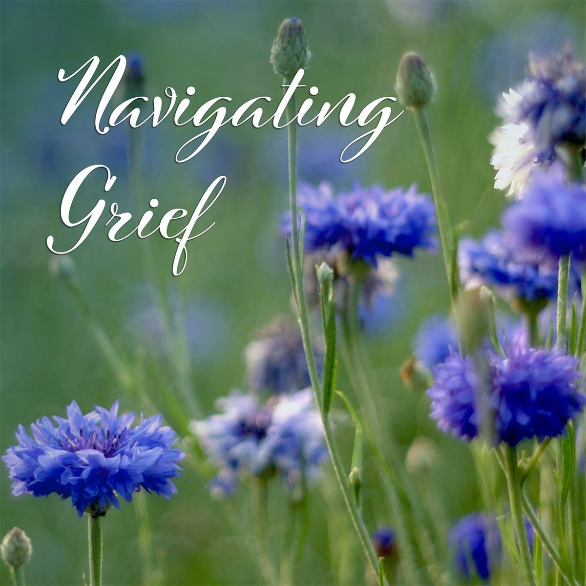 Navigating Grief cover image